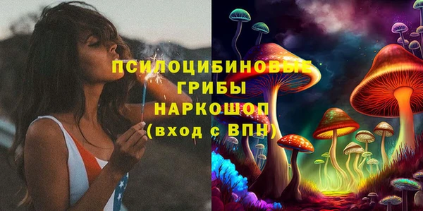 дмт Верея