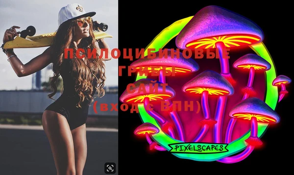дмт Верея