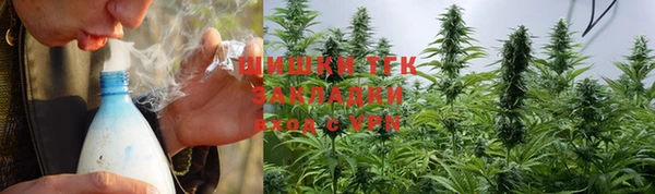 дмт Верея